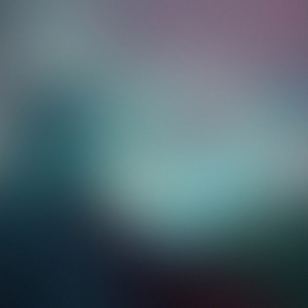 Fusce nisl dui, accumsan